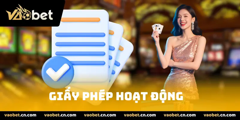 Giới thiệu chung về giấy phép hoạt động